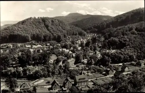 Ak Thal Ruhla in Thüringen, Blick vom alten Keller, Panorama