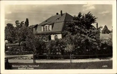Ak Herrndorf Hetzdorf Halsbrücke Sachsen, Gasthof Hasse