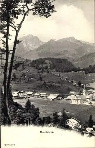 Ak Montbovon Kanton Freiburg, Gesamtansicht