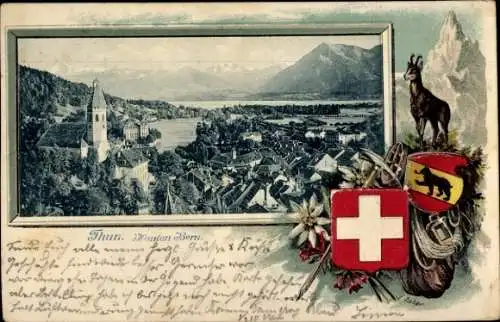 Präge Passepartout Wappen Ak Thun Kanton Bern Schweiz, Gesamtansicht, Ziege