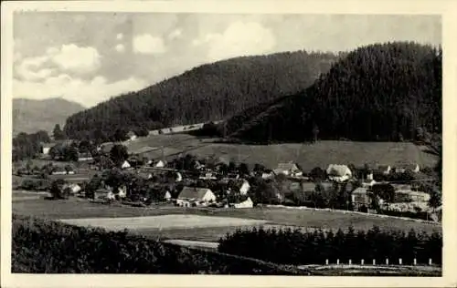 Ak Książnica Pfaffendorf im Landkreis Reichenbach Niederschlesien, Gesamtansicht