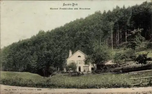 Ak Saint Dié des Vosges, Maison Forestiere des Molieres