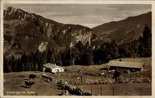 Ak Aschau im Chiemgau Oberbayern, Elland-Alm, Scheibenwand, Geigelstein-Ausläufer