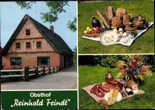 Ak Jork im Alten Land, Obsthof Reinhold Feindt, Außenansicht, Picknick