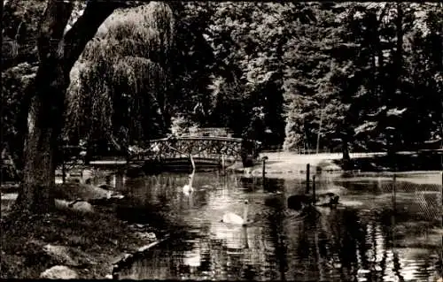 Ak Offenburg in Baden Schwarzwald, Schwanenteich, Brücke