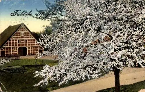 Ak Jork im Alten Land, Kirschenland, Frühlingsland, Fröhliche Pfingsten