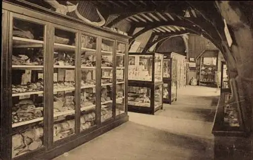 Ak Anvers Antwerpen Flandern, Innenraum, Room of the objects found in the river in 1880-1885