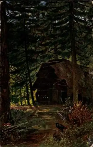 Ak Alte Köhlerhütte im Schwarzwald, Waldpartie