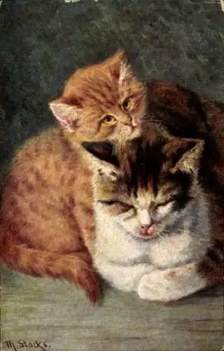 Künstler Litho Stocks, M., Katzenmutter mit Katzenjunge