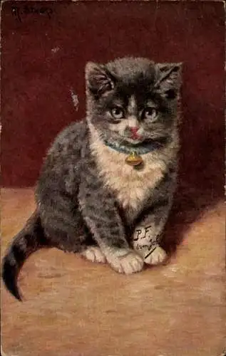 Künstler Ak Stocks, M., Katze mit Halskette