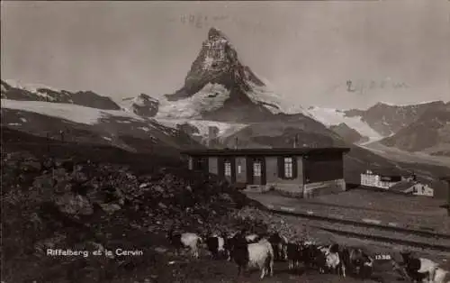 Ak Zermatt Kanton Wallis Schweiz, Riffelberg, Cervin