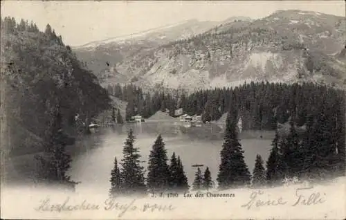 Ak Lac des Chavonnes Ormont Dessous Kanton Waadt, Panorama