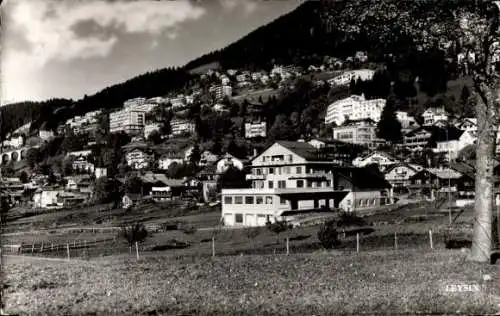 Ak Leysin Kanton Waadt, Teilansicht