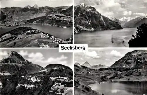 Ak Seelisberg Kanton Uri, Vierwaldstättersee, Panorama