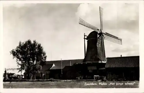 Ak Zaandam Zaanstad Nordholland, Molen Het jonge schaap