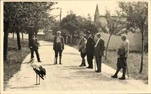 Foto Ak Lübau Rabenau Erzgebirge ?, Straßenpartie, Storch, Männer