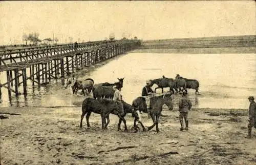 Ak Mazedonien, Am Ufer des Vardar, Soldaten, Pferde, Brücke