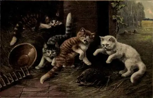 Litho Katzen haben einen Igel gefunden, Stroh, Harke, Bauernhof