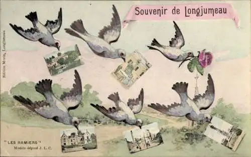 Ak Longjumeau Essonne, Denkmal, Teilansichten, Vögel