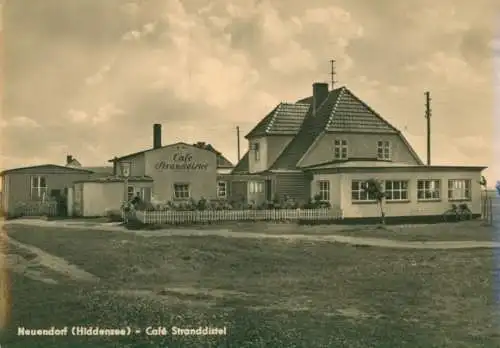 Ak Neuendorf auf der Insel Hiddensee, Cafe Stranddistel