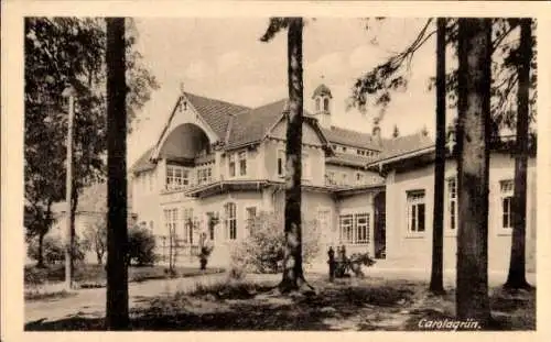 Ak Carolagrün Auerbach im Vogtland, Gebäude