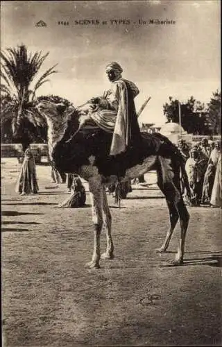 Ak Maghreb, Araber auf Kamel reitend