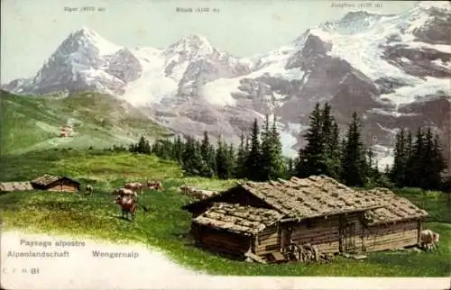 Ak Wengernalp Kanton Bern Schweiz, Alpenlandschaft