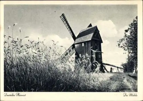 Ak Windmühle in der Rückansicht, Feldweg, Getreidepflanzen, Deutsche Heimat