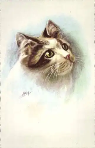 Künstler Ak Gemaltes Portrait einer Katze