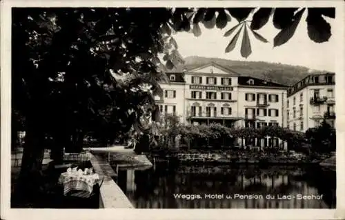 Ak Weggis Kt. Luzern Schweiz, Hotel und Pension du Lac Seehof