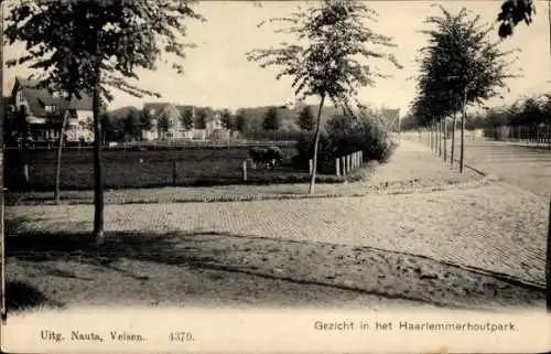 AK Haarlem Nordholland Niederlande, Blick in den Park Haarlemmerhout