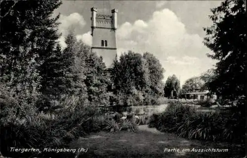 Ak Kaliningrad Königsberg Ostpreußen, Tiergarten, Aussichtsturm