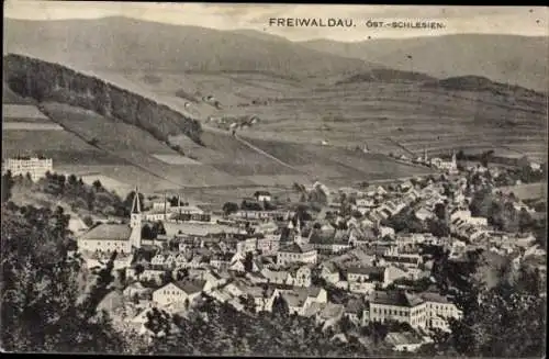 Ak Gozdnica Freiwaldau Schlesien, Gesamtansicht