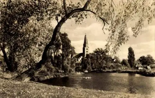 Ak Brandenburg an der Havel, Teilansicht, Dom