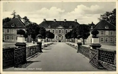 Ak Oranienbaum Wörlitz in Anhalt, Schloss