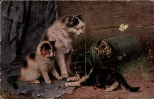 Ak Katzen beobachten einen Schmetterling