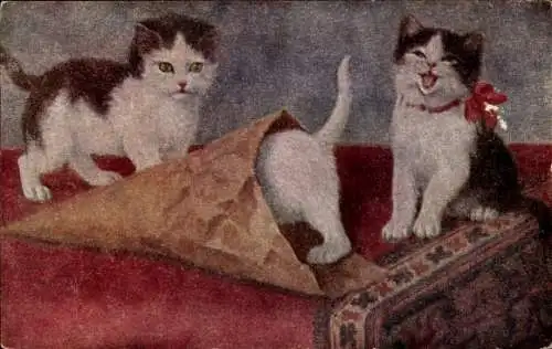 Ak Drei Katzen, Neugieriges Kätzchen, Decke