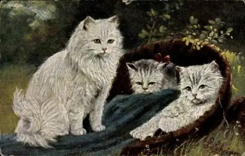 Künstler Ak Katzenfamilie, Weiß Katzen, Decke, Korb