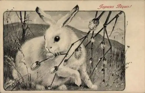 Ak Glückwunsch Ostern, Hase beim Essen, Weidenkätzchen