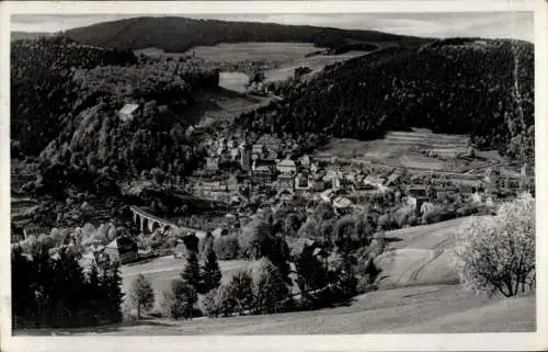 Ak Gräfenthal in Thüringen, Panorama