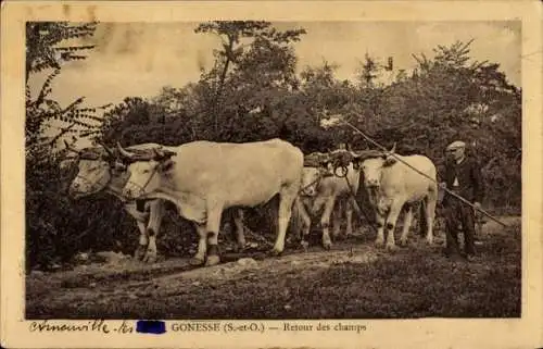Ak Gonesse Val d'Oise, Retour des Champs