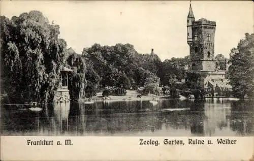 Ak Frankfurt am Main, Zoologischer Garten, Ruine und Weiher