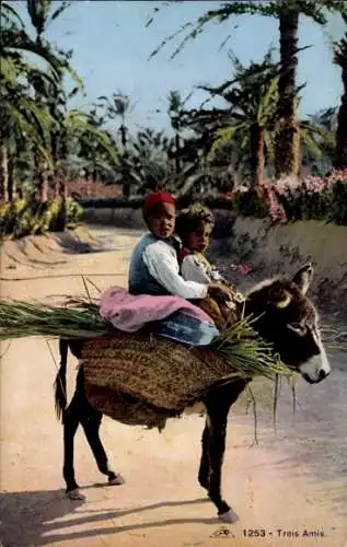 Ak Maghreb, Kinder reiten auf Esel, Transport, Palmen