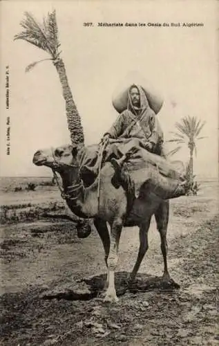 Ak Araber auf einem Kamel, Palmen, Maghreb