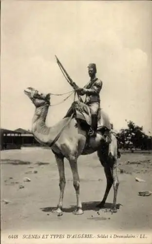 Ak Algerien, Arabischer Krieger, Kamel, Maghreb