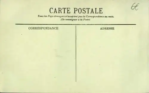 Ak Algerien, Arabischer Krieger, Kamel, Maghreb