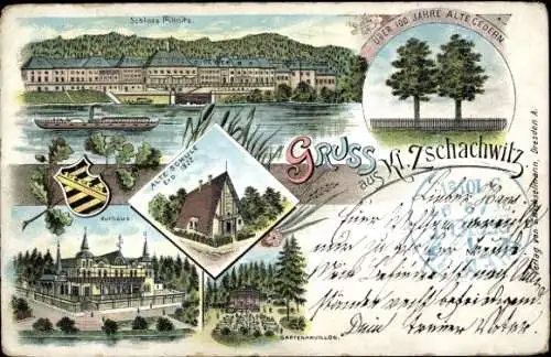 Litho Dresden Kleinzschachwitz, Zedern, Schloss  Pillnitz, Schule, Kurhaus