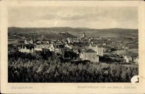 Ak Bad Wildungen in Hessen, Blick vom Waldhaus, Gesamtansicht