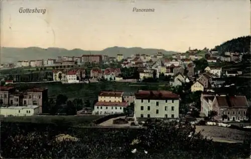 Ak Boguszów Gottesberg Schlesien, Panorama