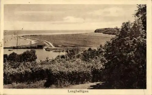 Ak Langballig in Angeln, Panorama